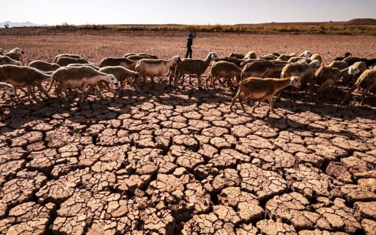 صورة تعبيرية للجفاف
