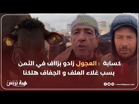 كسابة  : العجول زادو بزااف في الثمن بسب غلاء العلف و الجفاف هلكنا