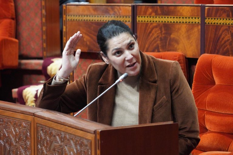"المنصوري" تفصل بالأرقام في ملف الدعم المباشر للسكن