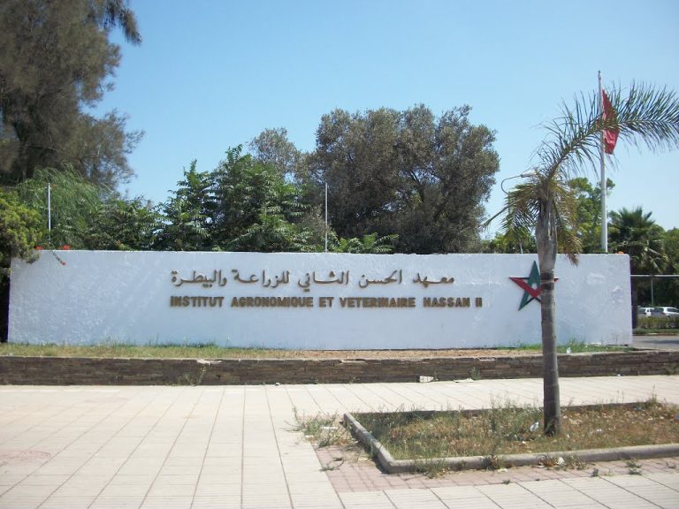 معهد الحسن الثاني للزراعة والبيطرة