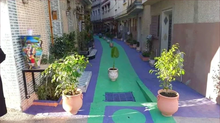 صورة تعبيرية لتجميل شوارع طنجة