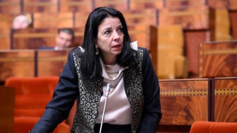 وزيرة الانتقال الرقمي: "أكثر من 600 خدمة عمومية متوفرة عبر الإنترنيت للمغاربة"