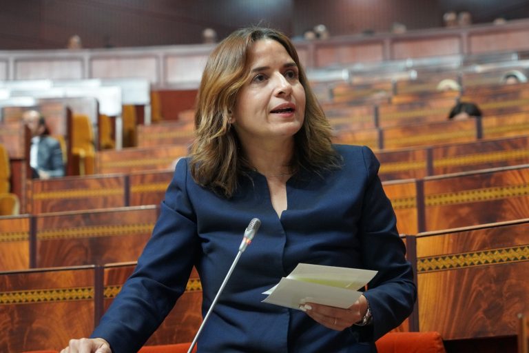بنعلي: "الحكومة تولي أهمية قصوى لتطوير و تقوية شبكة نقل الكهرباء الوطنية"