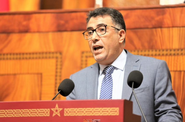 حموني: "عدد من المهام الرقابية للبرلمان أصبحت غائبة بسبب تغيب الوزراء"
