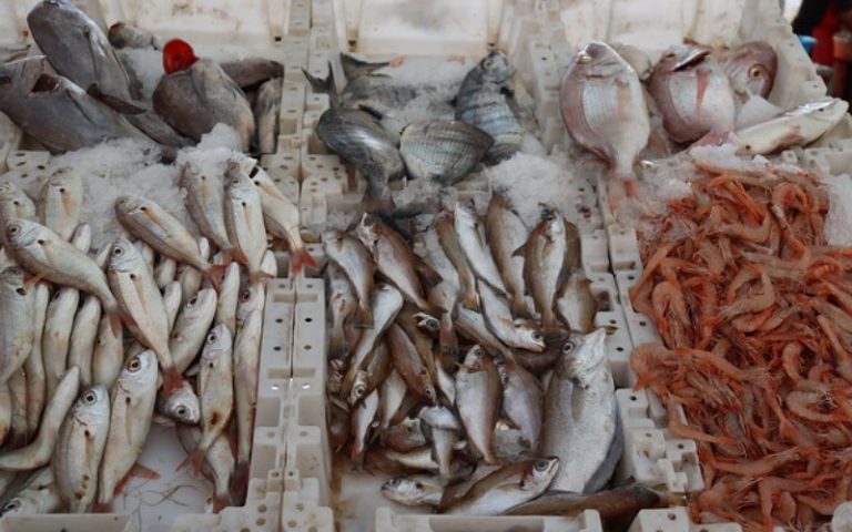 "الحوت بثمن معقول".. مبادرة وفرت للمغاربة 5 آلاف طن من السمك خلال رمضان