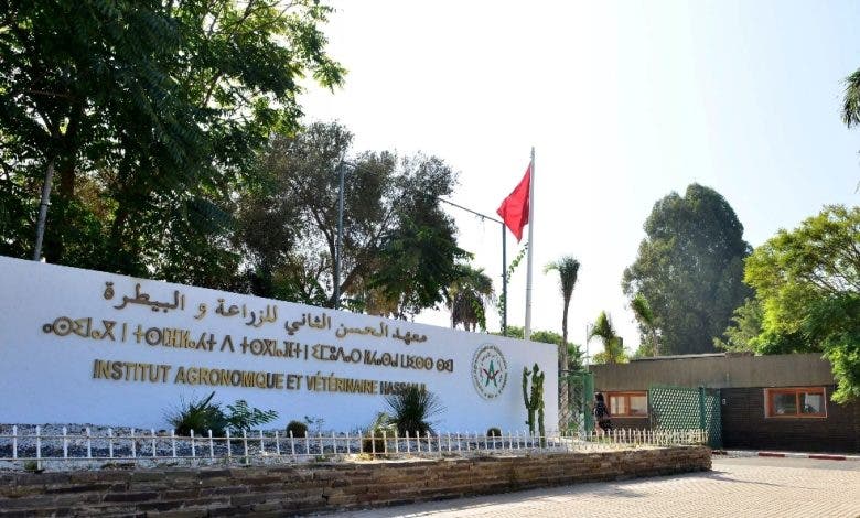 سلطات الرباط تقرر هدم أجنحة سكن الطلاب لمعهد IAV لإنشاء طريق جديد 1 سلطات الرباط تقرر هدم أجنحة سكن الطلاب لمعهد IAV لإنشاء طريق جديد