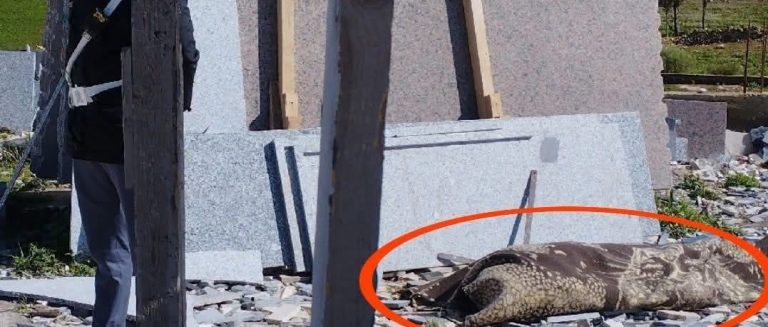 صورة من الحادثة