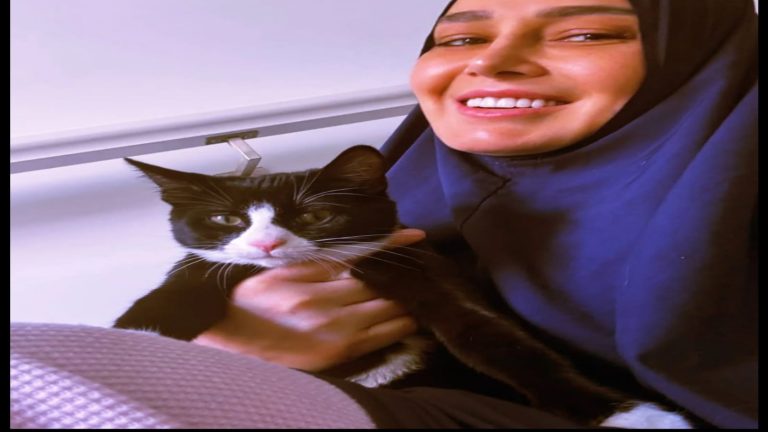 الفنانة حلا شيحة