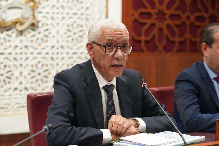 الطالبي العلمي: "مجلس النواب يولي أهمية لتكوين الشباب سياسيا و ديموقراطيا"