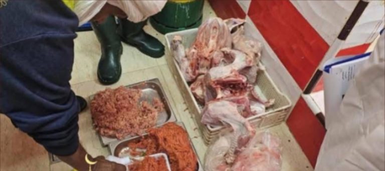 العرائش.. ضبط مواد غذائية خطيرة موجهة للأعراس