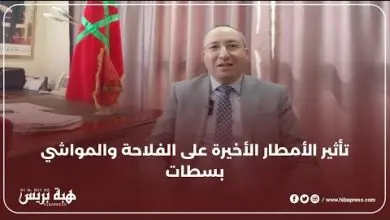 تداعيات الأمطار الأخيرة على الفلاحة والمواشي.. المدير الإقليمي للفلاحة بسطات يجيب