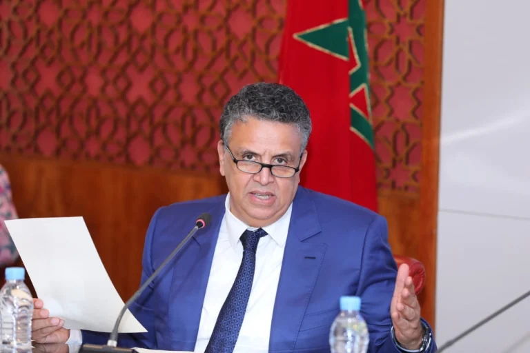 عبد اللطيف وهبي وزير العدل