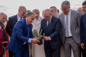 سوس- ماسة..  افتتاح مهرجان اللوز بتافراوت