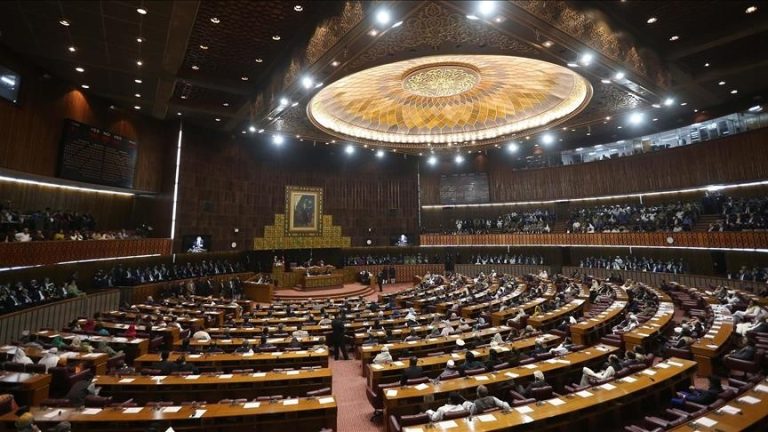 إعلان طشقند يؤكد تمسك برلمانيي حركة عدم الانحياز بمبادئ باندونغ