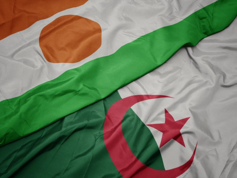 النيجر والجزائر