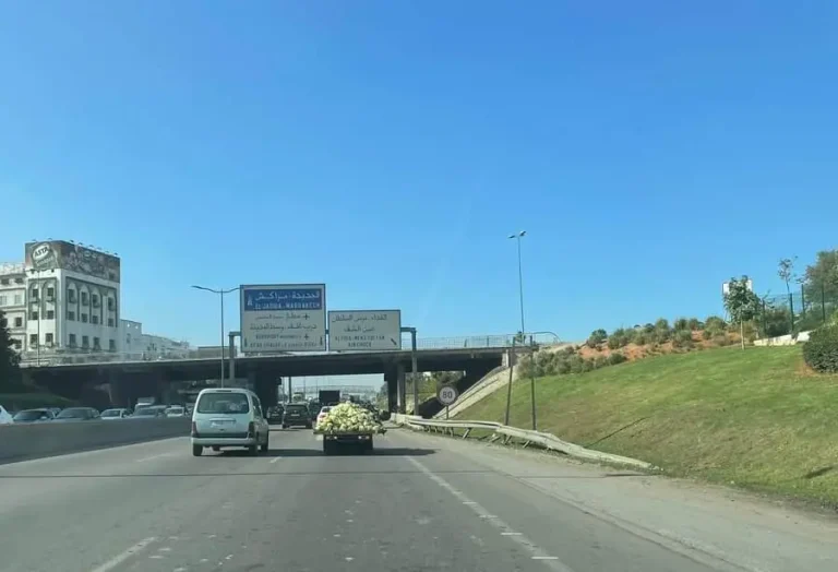 "الكان" يدفع سلطات البيضاء لتسريع تعشيب جنبات الطريق السيار المداري