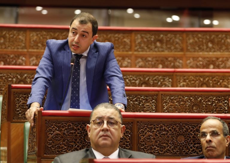 البرلماني سعيد البرنيشي