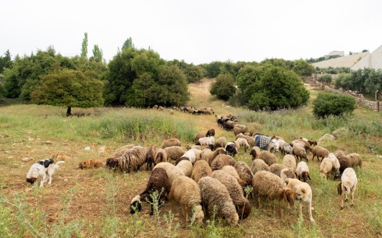 سلا الجديدة.. روائح كريهة تؤرق ساكنة حي المعمورة وتهدد صحتها