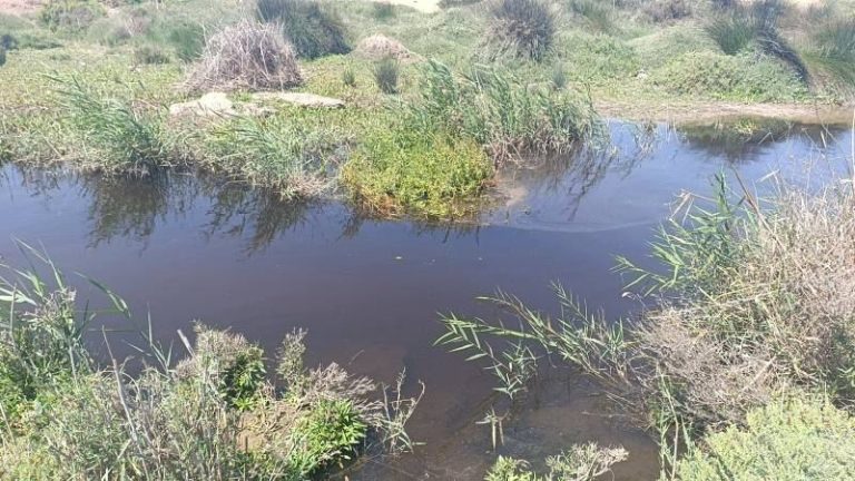 بوعرك