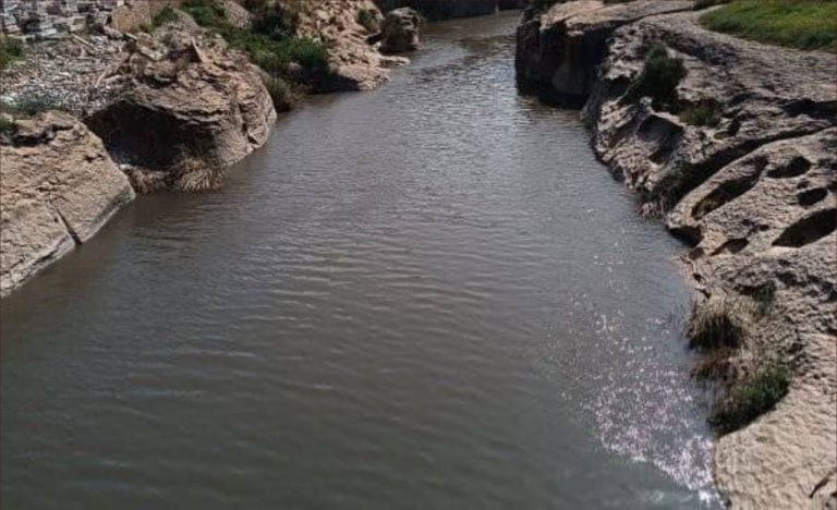 تازة