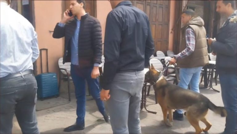 استنفار أمني