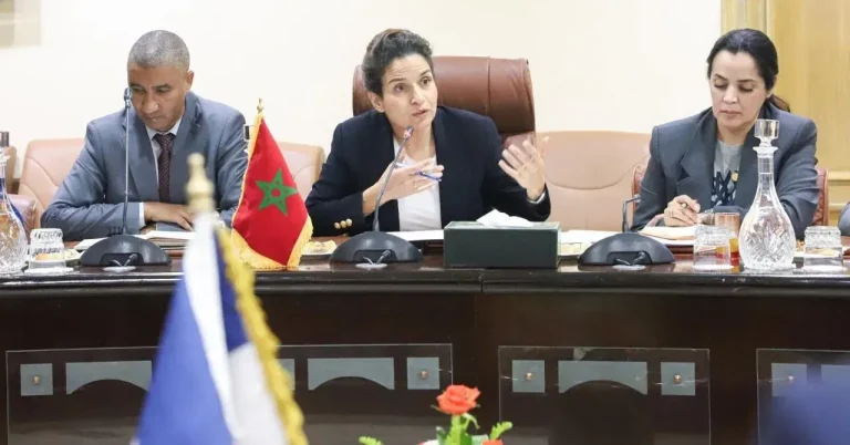 وزيرة الانتقال الطاقي والتنمية المستدامة، ليلى بنعلي