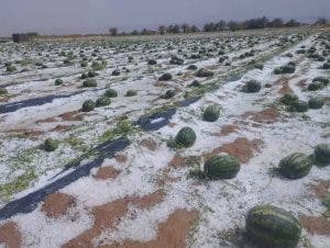 تساقطات مطرية غزيرة تغمر شوارع زاكورة وتتسبب في خسائر مادية (صور)