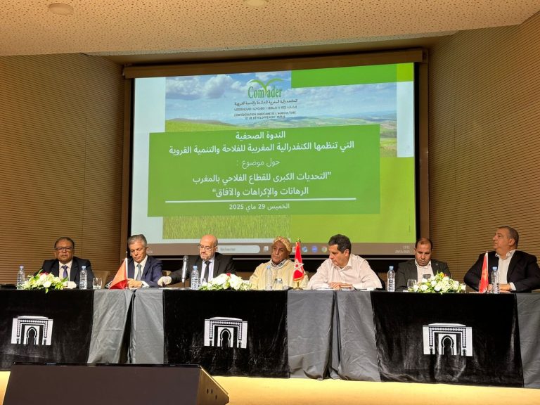 رشيد بنعلي