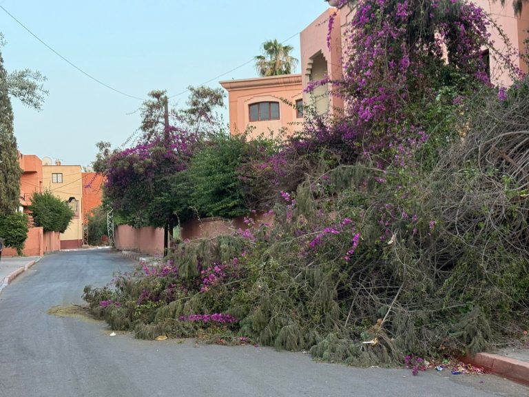 أشغال بستنة تتسبب في عرقلة السير أمام دار الطالب بالحي المحمدي بمراكش