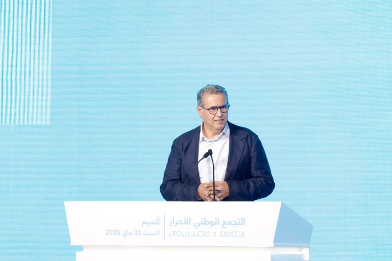 أخنوش: الأغلبية الحكومية منسجمة وهذه "حكومة المعقول"
