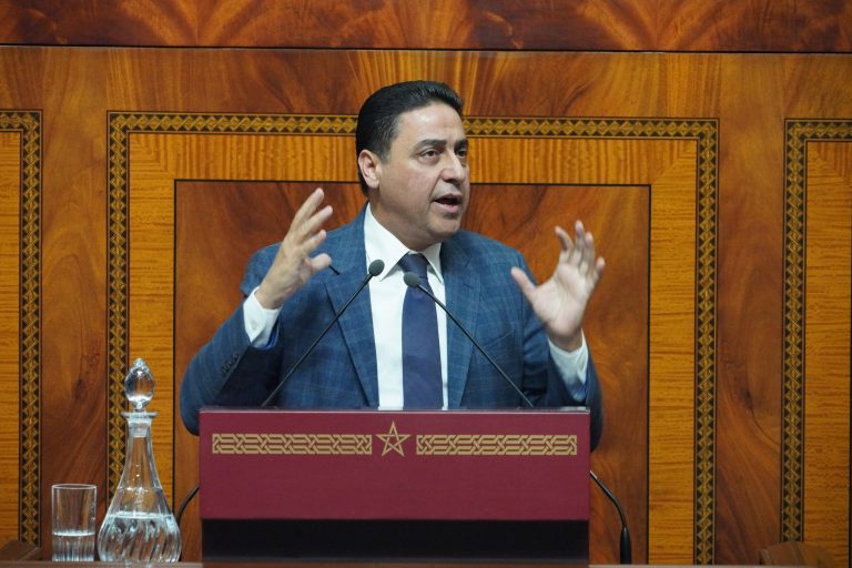 حجيرة: "نشتغل حاليا على إعداد اتفاقية اقتصادية جديدة مع موريتانيا"