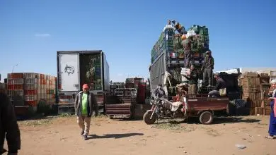 سوق الجملة