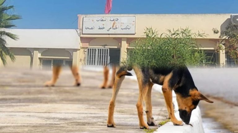 صورة تعبيرية