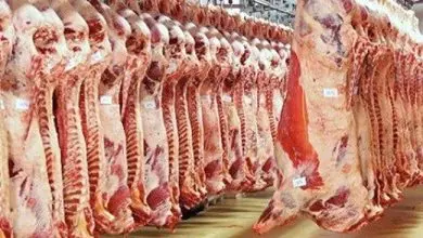 أزمة مرتقبة في مجزرة بوقنادل تُنذر باختلال في الأمن الغذائي بجهة الرباط سلا القنيطرة