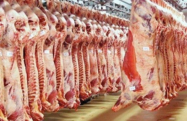 أزمة مرتقبة في مجزرة بوقنادل تُنذر باختلال في الأمن الغذائي بجهة الرباط سلا القنيطرة 1 أزمة مرتقبة في مجزرة بوقنادل تُنذر باختلال في الأمن الغذائي بجهة الرباط سلا القنيطرة