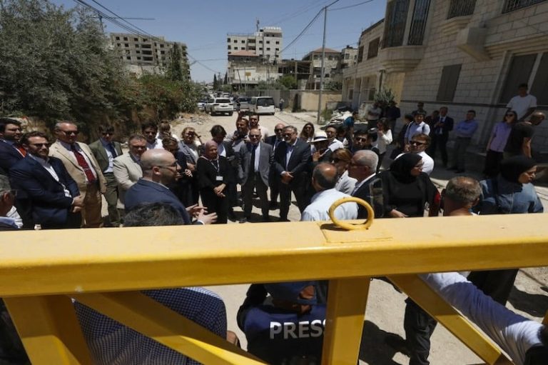 وفد دبلوماسي في جنين