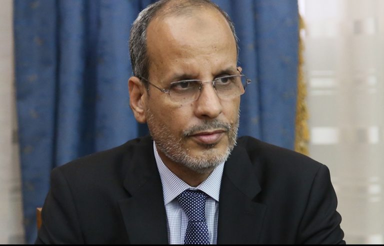 محمد ماء العينين ولد أييه