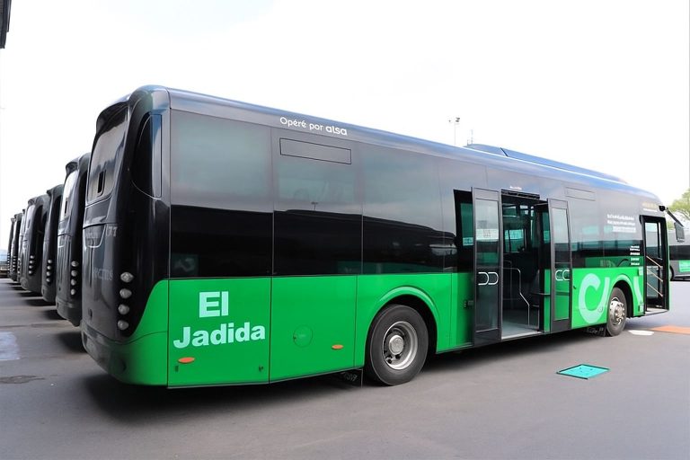 الحافلات الجديدة بمدينة الجديدة