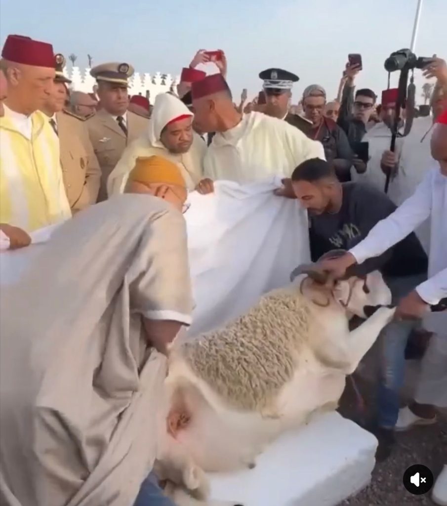 من ورط والي جهة مراكش آسفي في فضيحة نحر أضحية العيد؟ - صور
