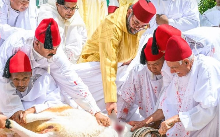 تطوان.. الملك ينحر أضحيتي العيد باسم جلالته و نيابة عن شعبه الوفي