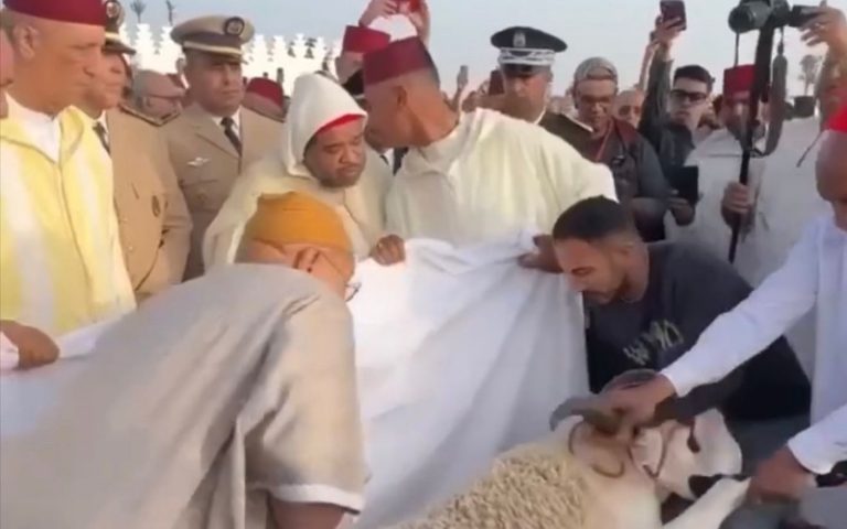 من ورط والي جهة مراكش آسفي في فضيحة نحر أضحية العيد؟ - صور