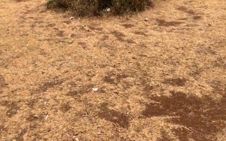 شوارع فاس تتحول إلى صحراء قاحلة.. والساكنة تناشد المسؤولين - صور