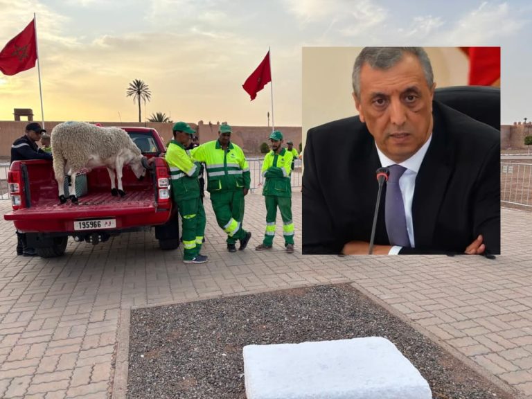 والي جهة مراكش آسفي
