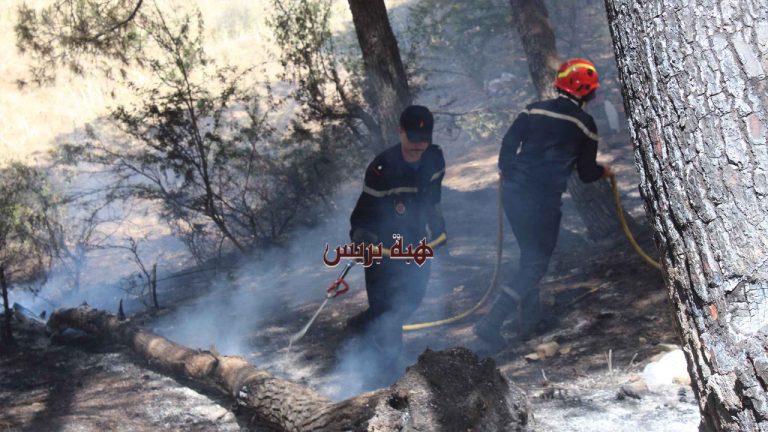 حريق بغابة الخرب