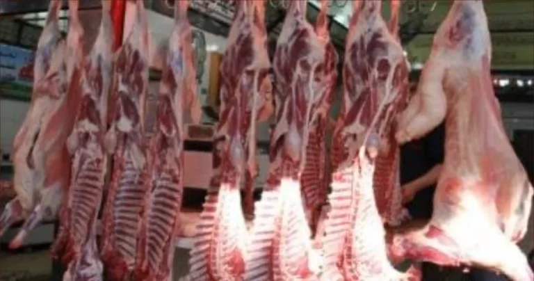 عودة أسعار اللحوم الحمراء إلى طبيعتها بعد اختفاء "تجار الأزمات"