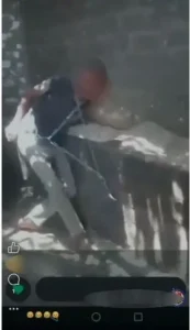 صعق وتقييد داخل حظيرة.. فيديو تعذيب يشعل الغضب في مصر