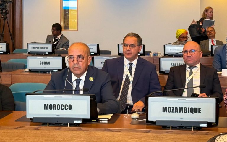 المغرب يدعو بأديس أبابا إلى إحداث صندوق دولي مخصص للأمن الغذائي في إفريقيا(صور)
