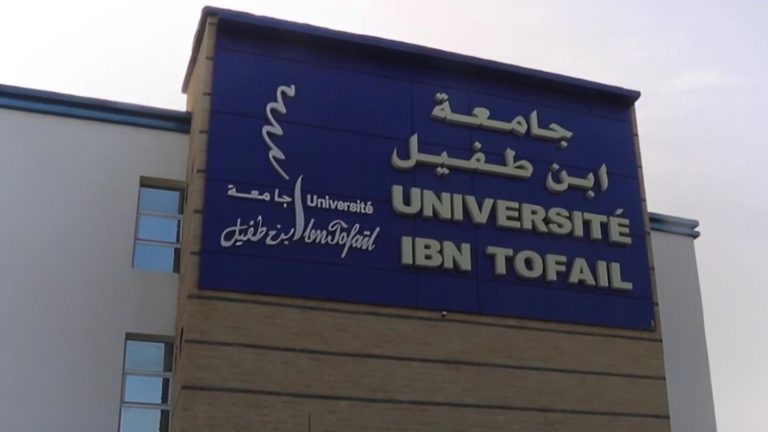 جامعة ابن طفيل