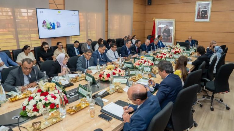 البواري يترأس أشغال المجلس الإداري لوكالة التنمية الفلاحية