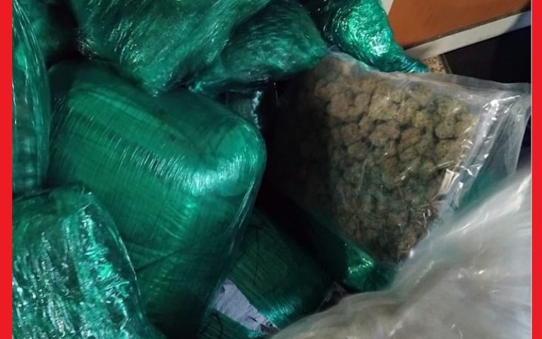 توقيف كنديين بحوزتهما 133 كلغ من "الماريخوانا" بمطار البيضاء